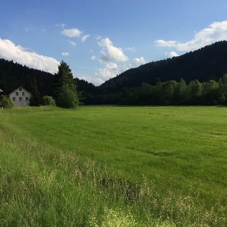 公寓 Im Tal Der Sonne - Albtal 圣布拉辛