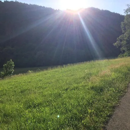 Im Tal Der Sonne - Albtal *