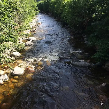 Im Tal Der Sonne - Albtal Daire St. Blasien