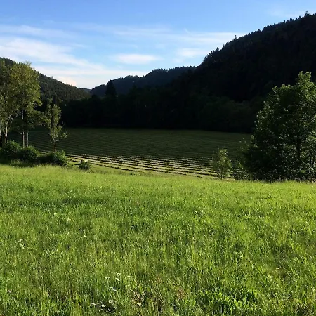 Im Tal Der Sonne - Albtal